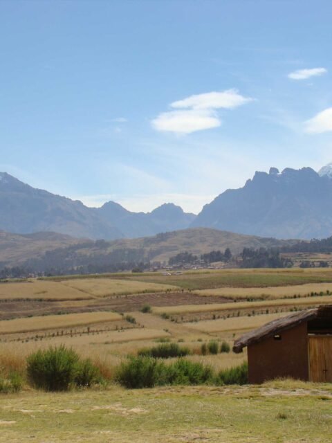 Package  Tour 6 Days