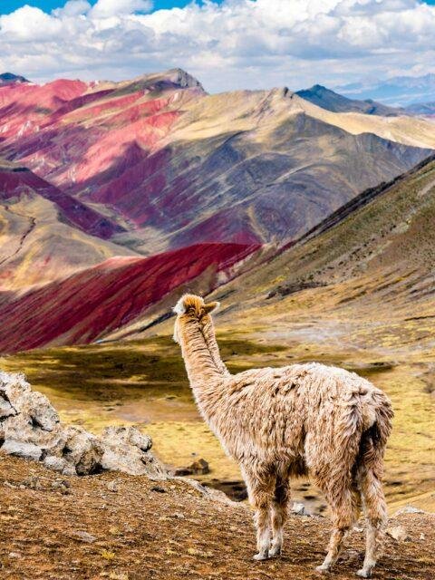 Rainbow Mountain + 7 lakes in Ausangate Trek 2 days