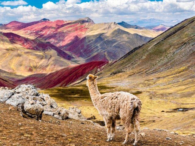 Rainbow Mountain + 7 lakes in Ausangate Trek 2 days