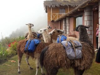 Huchuy Qosqo Trek 2 Days
