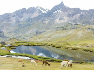 Aunsangate Trek 2 Days with Rainbow Mountain Tour