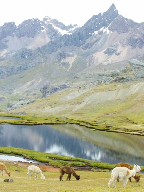 Ausangate 7 Lakes Tour 1 Day