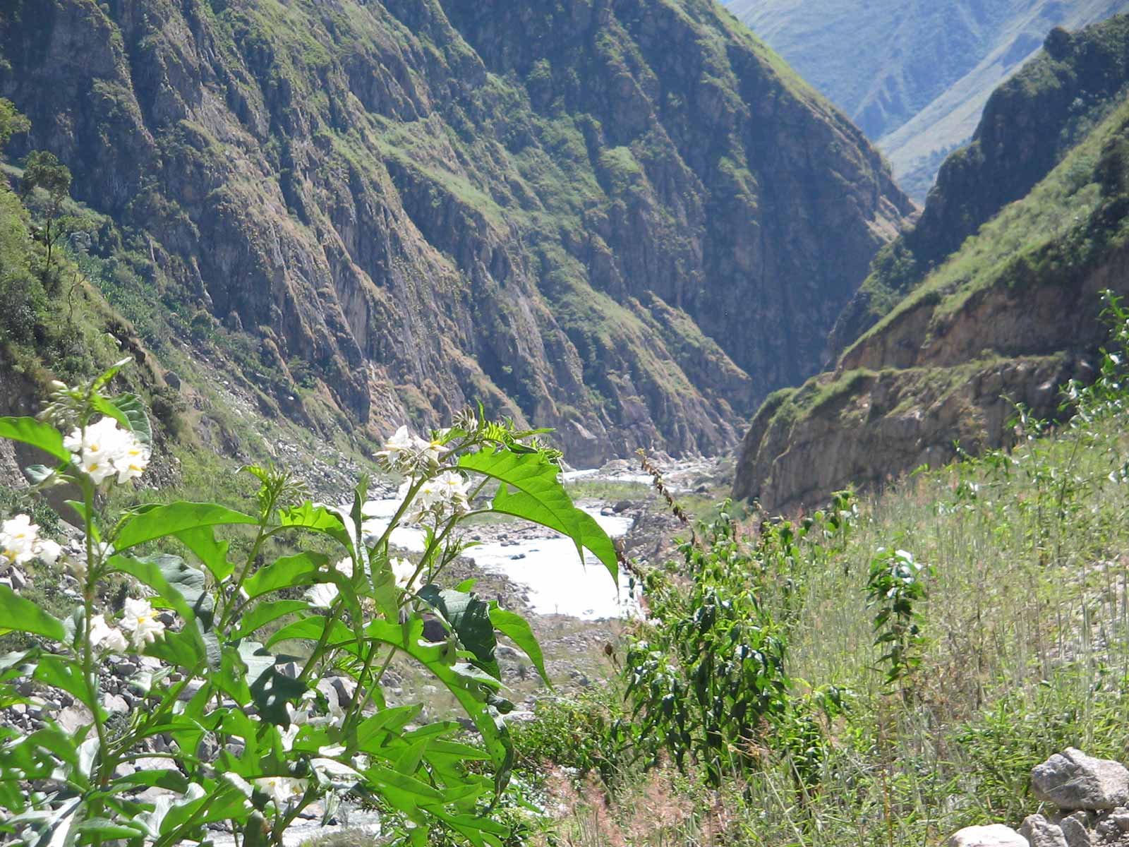Salkantay Trek Peru 2022